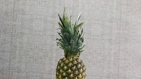 Rotating fresh pineapple on light theme Stock Footage 141608446