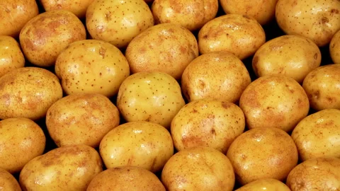 Rotating Fresh Raw Potatoes Background Full Frame Stock Footage 344023139