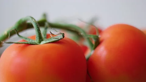 Rotating Fresh Red Cherry Tomatoes on Branch as Background Video Close up. Ma Stock Footage 166390705