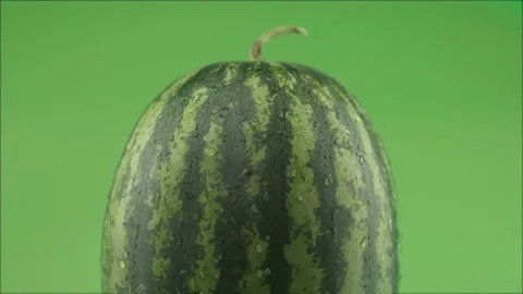 Rotating fresh watermelon covered by drops of water on green background studi Stock Footage 233146655