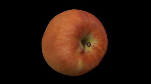 Rotating Fuji Apple on Transparent Backgroun (Alpha Channel) Stock Footage 80758603