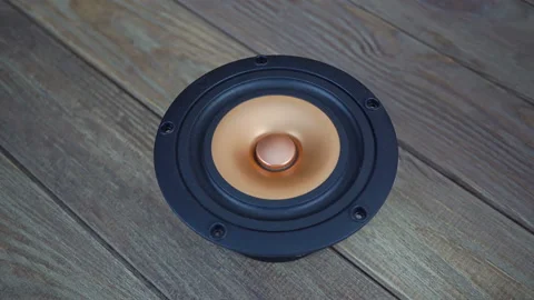 Rotating Full Range Woofer On The Background. Stock Footage 221830985