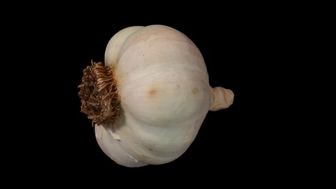 Rotating Garlic Head on Black Background Stock Footage 92279640