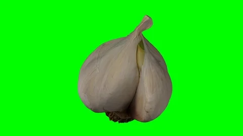 Rotating Garlic Head on Green Background (Looping) Stock Footage 92279082