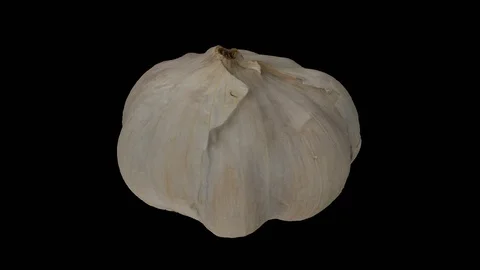 Rotating Garlic Head on Transparent Background (Looping with Alpha Channel) Stock Footage 97740487