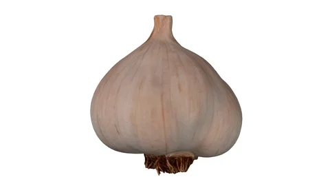 Rotating Garlic Head on White Background (Looping) Stock Footage 92279337