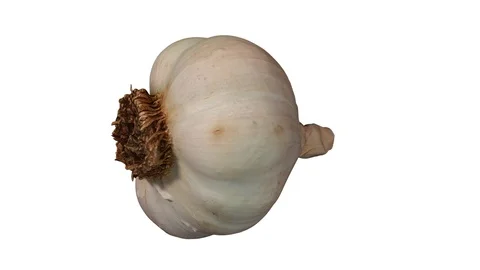 Rotating Garlic Head on White Background Stock Footage 92279600