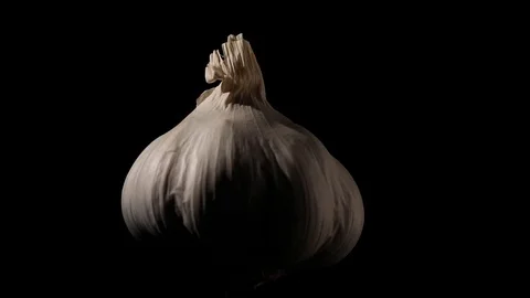 Rotating garlic still life on black with soft light 03 Stock Footage 83676961