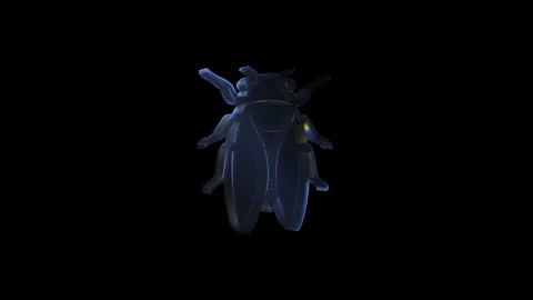 Rotating glass cicada on black background Stock Footage 314329776