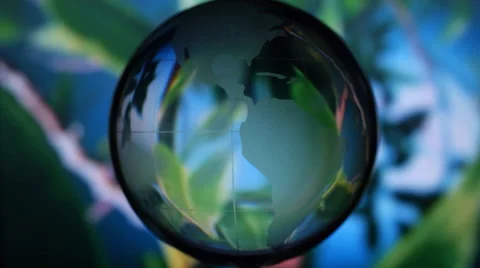 The rotating glass globe on the background of a moving tree Stock Footage 49672401
