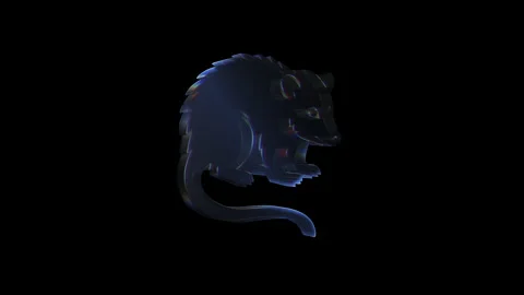 Rotating glass rat on black background 스톡 동영상 313385338