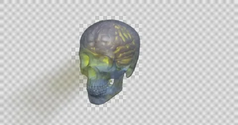 Rotating glowing skull , brain against transparent background Stock Footage 64632568