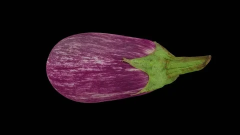 Rotating Graffiti Eggplant on Black Background (Looping) 스톡 동영상 139745484