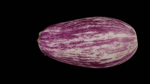 Rotating Graffiti Eggplant on Black Background (Looping) Video stock 139773516