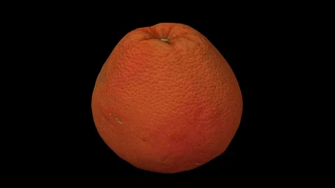 Rotating Grapefruit on Black Background Stock Footage 92278145