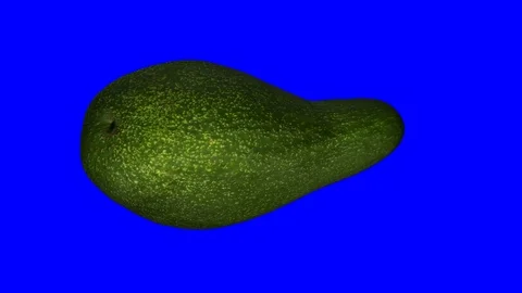 Rotating Green Avocado on Blue Background Stock Footage 92274182