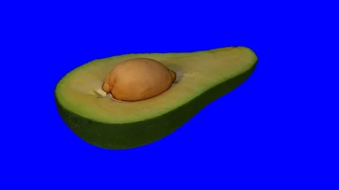 Rotating Green Avocado on Blue Background (Looping) Stock Footage 97633929