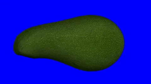 Rotating Green Avocado on Blue Background (Looping) Stock Footage 97701989