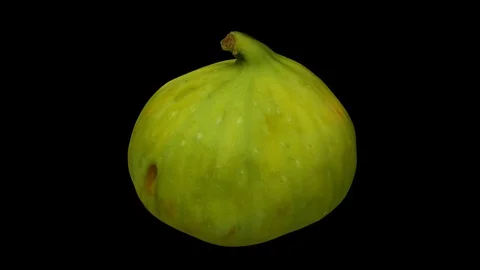 Rotating Green Fig on Black Background (Looping) Stock Footage 97738978