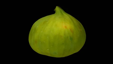 Rotating Green Fig on Transparent Background (Looping with Alpha Channel) Stock Footage 97738364