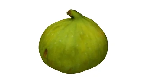 Rotating Green Fig on White Background (Looping) Stock Footage 97739110