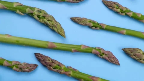 Rotating green fresh asparagus on blue background, trendy vegetable background Stock Footage 197077191