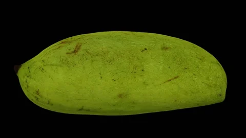 Rotating Green Ivory Mango on Black Background (Looping) Stock Footage 149345253