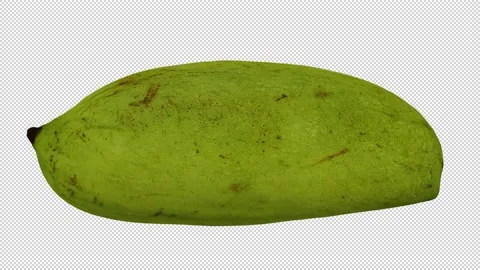 Rotating Green Ivory Mango on Transparent Background (Looping) Stock Footage 149345226