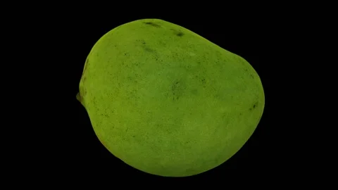 Rotating Green Mango on Black Background (Looping) Stock Footage 146817330
