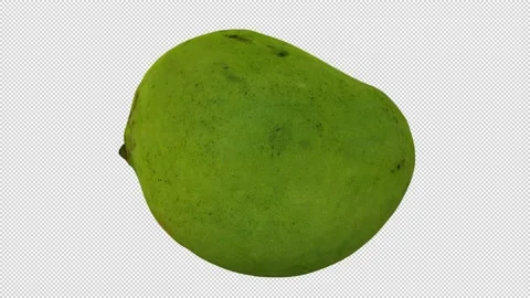 Rotating Green Mango on Transparent Background (Looping with Alpha Channel) Stock Footage 146817308