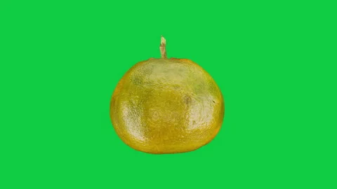 Rotating Green Orange Citrus Fruit Isolated on Green Screen. Fruit food loop  Stock Footage 339751575