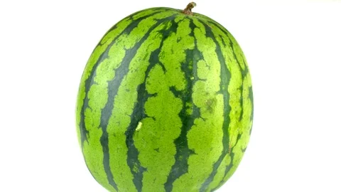 Rotating Green Watermelon Stock Footage 90825367