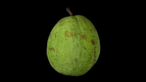 Rotating Guava on Black Background Stock Footage 80584815