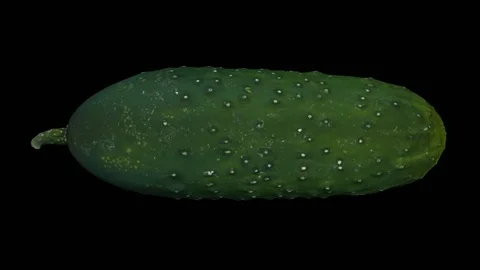 Rotating Guava on Transparent Background (Alpha Channel) Stock Footage 93344712