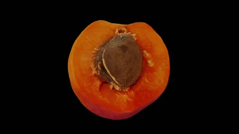 Rotating Half Apricot on Black Background (Looping) Stock Footage 139715243