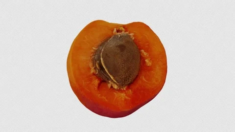 Rotating Half Apricot on Transparent Background (Looping with Alpha Channel) Stock Footage 139715032