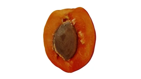 Rotating Half Apricot on White Background (Looping) Stock Footage 139713987