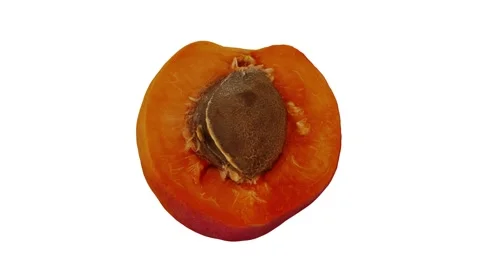 Rotating Half Apricot on White Background (Looping) Stock Footage 139715475