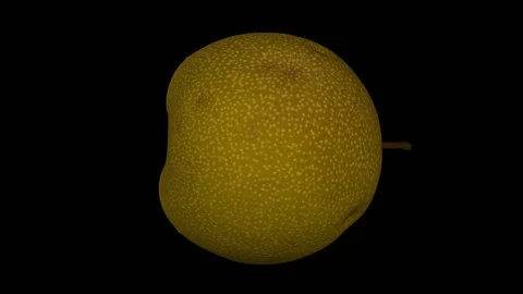 Rotating Half Asian Pear on Transparent Background (Looping with Alpha Channel) Stock Footage 97632555