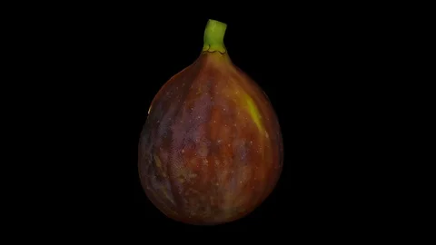 Rotating Half Black Fig on Black Background (Looping) Stock Footage 97737163