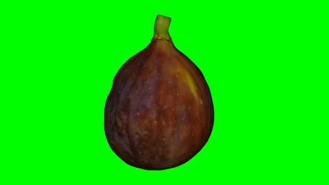 Rotating Half Black Fig on Green Background (Looping) Video stock 97737212