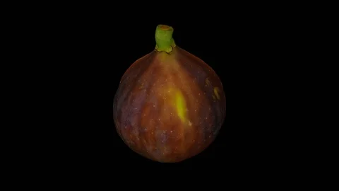 Rotating Half Black Fig on Transparent Background (Looping with Alpha Channel) Stock Footage 97737828