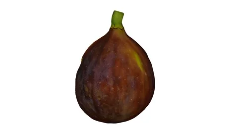 Rotating Half Black Fig on White Background (Looping) Stock Footage 97737275