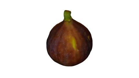 Rotating Half Black Fig on White Background (Looping) Stock Footage 97738076