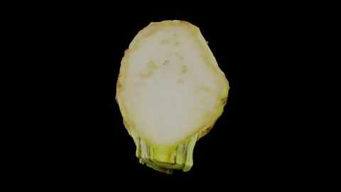 Rotating Half Celery Root on Black Background (Looping) Video stock 139744763
