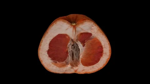 Rotating Half  Grapefruit on Black Background Stock Footage 92276818