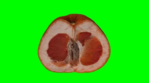 Rotating Half Grapefruit on Green Background Stock Footage 92276634