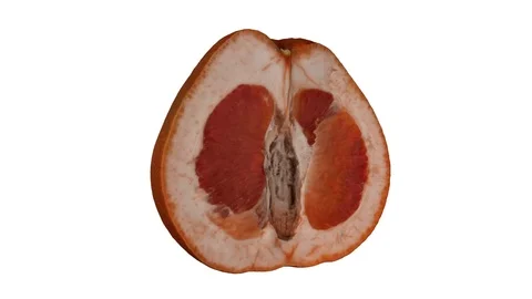Rotating Half Grapefruit on White Background Stock Footage 92277702