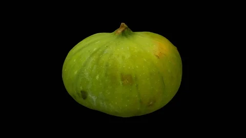Rotating Half Green Fig on Transparent Background (Looping with Alpha Channel) Stock Footage 97739728