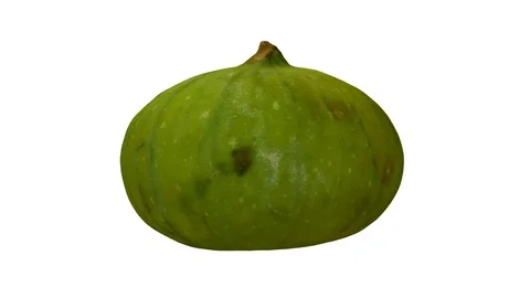 Rotating Half Green Fig on White Background (Looping) Stock Footage 97739449